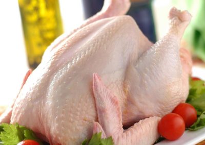 Pollo