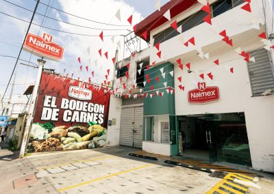 FLORES MAGÓN